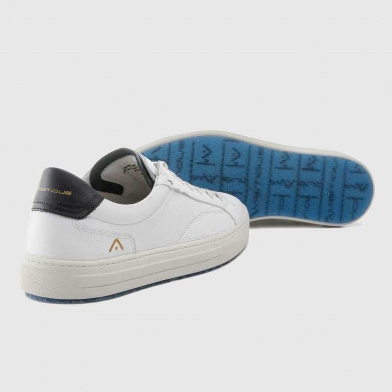 Ambitious Anopolis Lace Up Sneaker White
