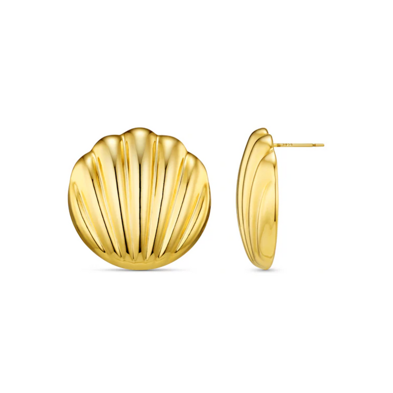 Statement Polished Shell Stud Earrings Gold